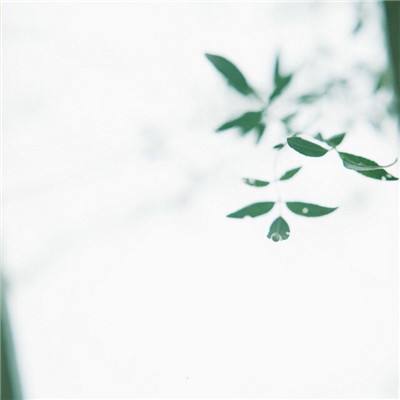 全民屠龙百度版下载